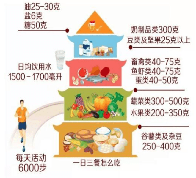 最新版居民膳食指南，构建健康饮食蓝图之道